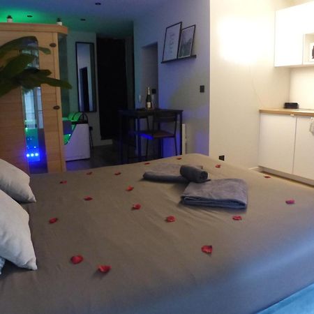 Appartement Balneotherapie Et Sauna Hyper Centre 낭트 외부 사진